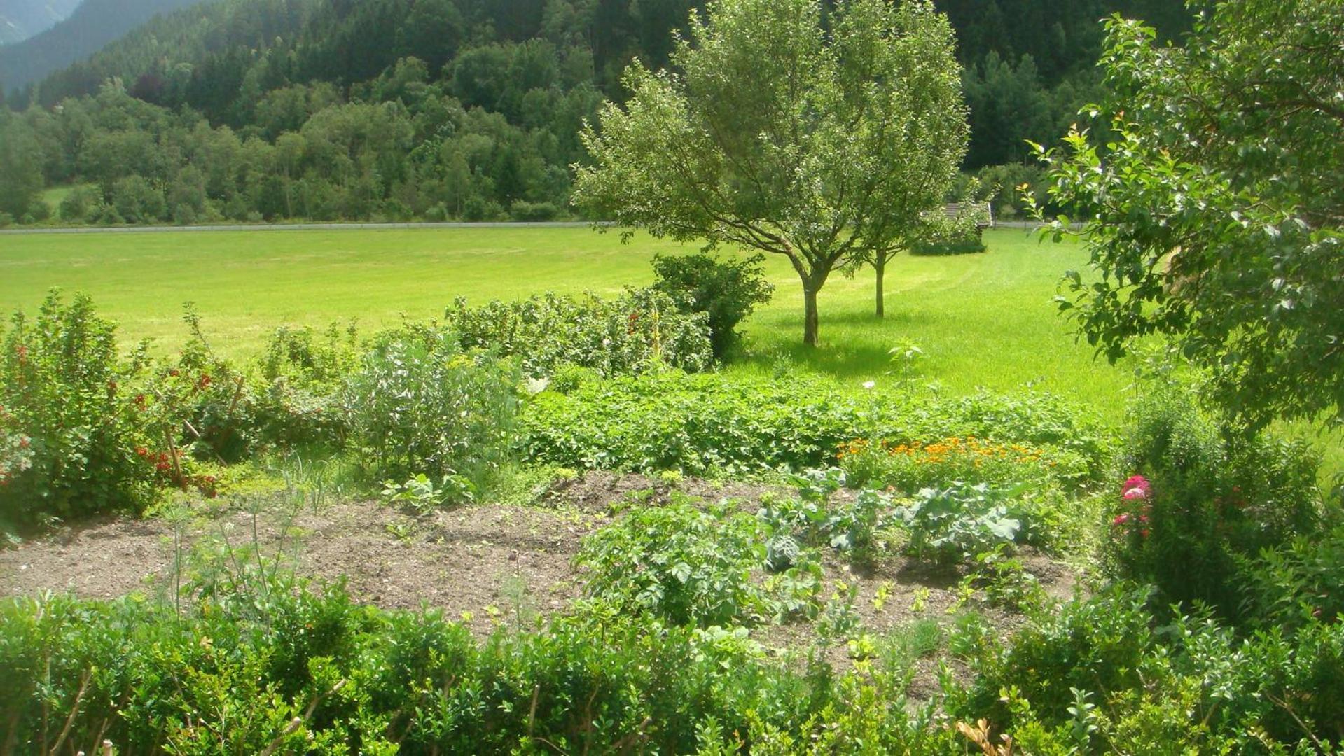 Bio-Bauernhof Obertrattenbachhof Neukirchen am Großvenediger 외부 사진